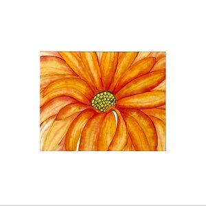 PAINTING WATERCOLOR ORIGINAL ART DAISY FLOWER ORANGE CORAL PINK 8X10 MAT 16X20
